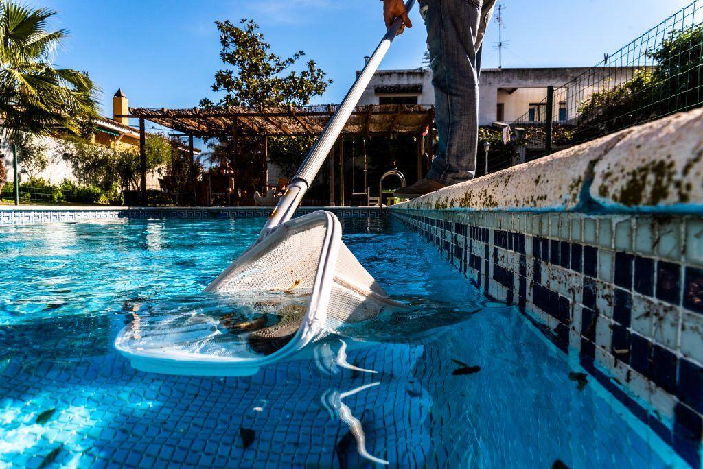 best san antonio pool cleaning service shavano park stone oak alamo heights