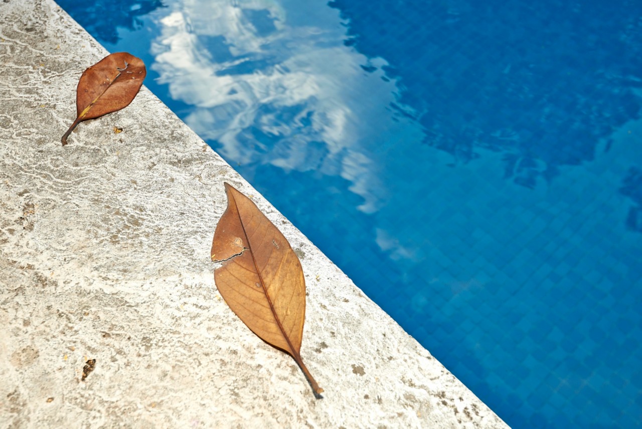 tips for fall pool maintenance in San Antonio